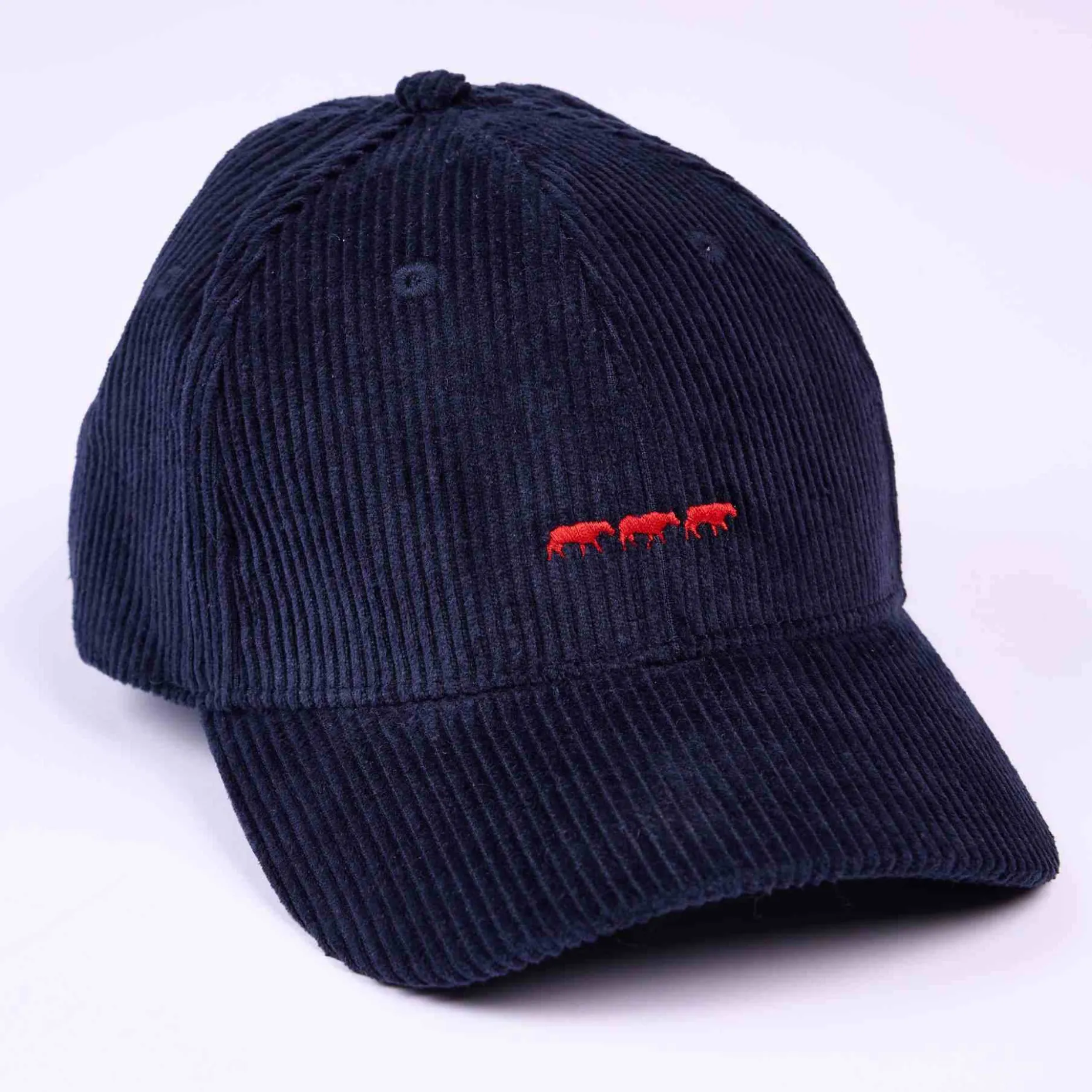 Homme Mise Au Green Casquette Camila bleu marine