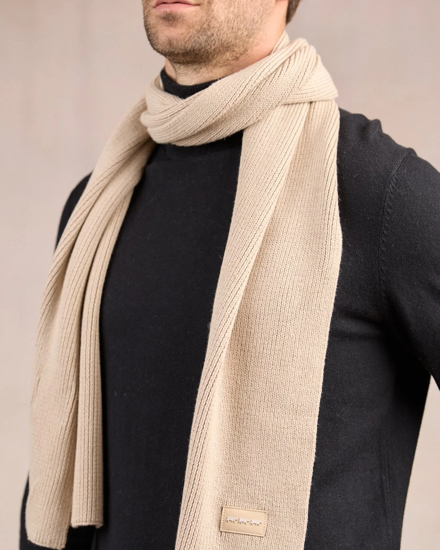 Homme Mise Au Green Écharpe unie en tricot