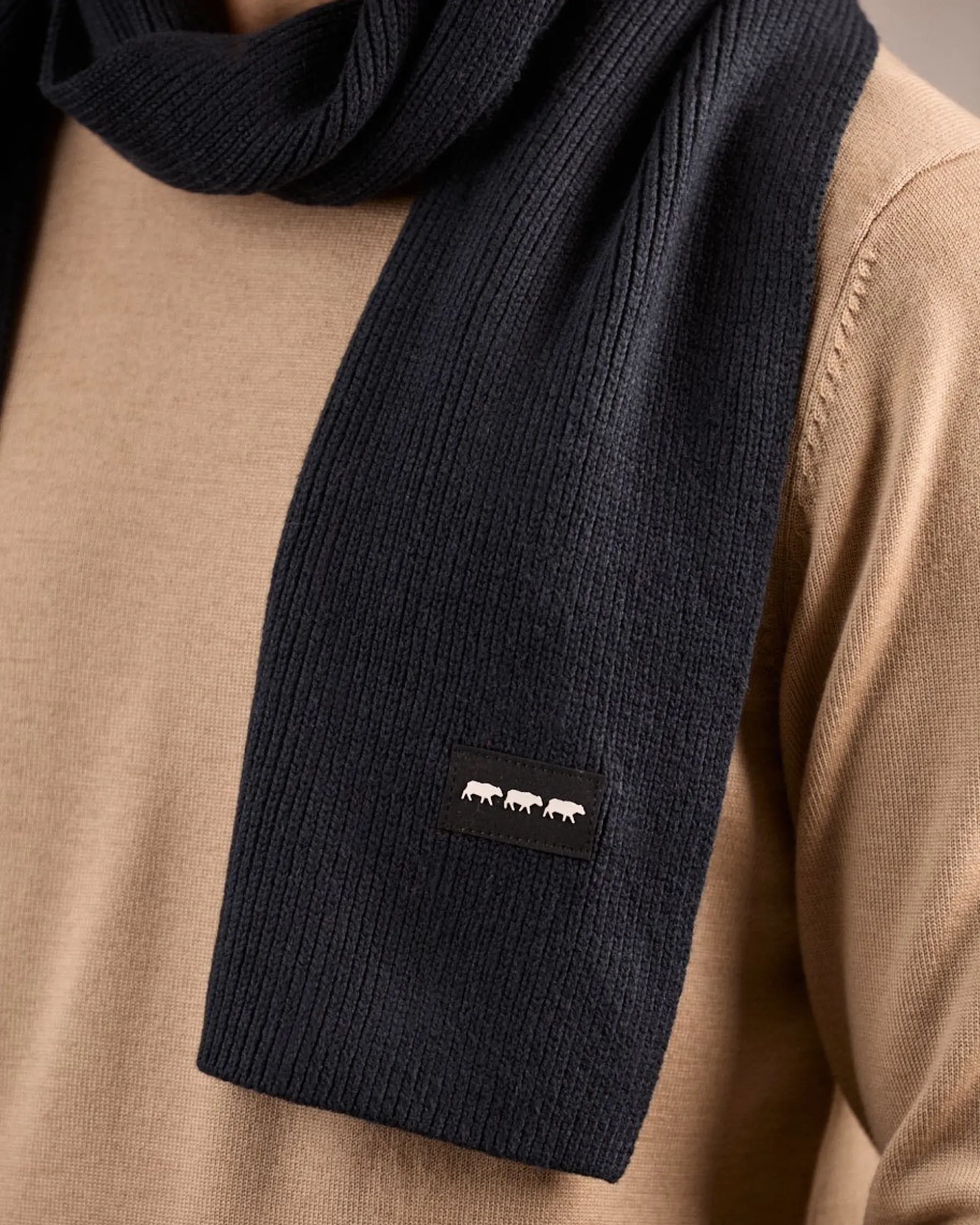 Homme Mise Au Green Écharpe unie en tricot