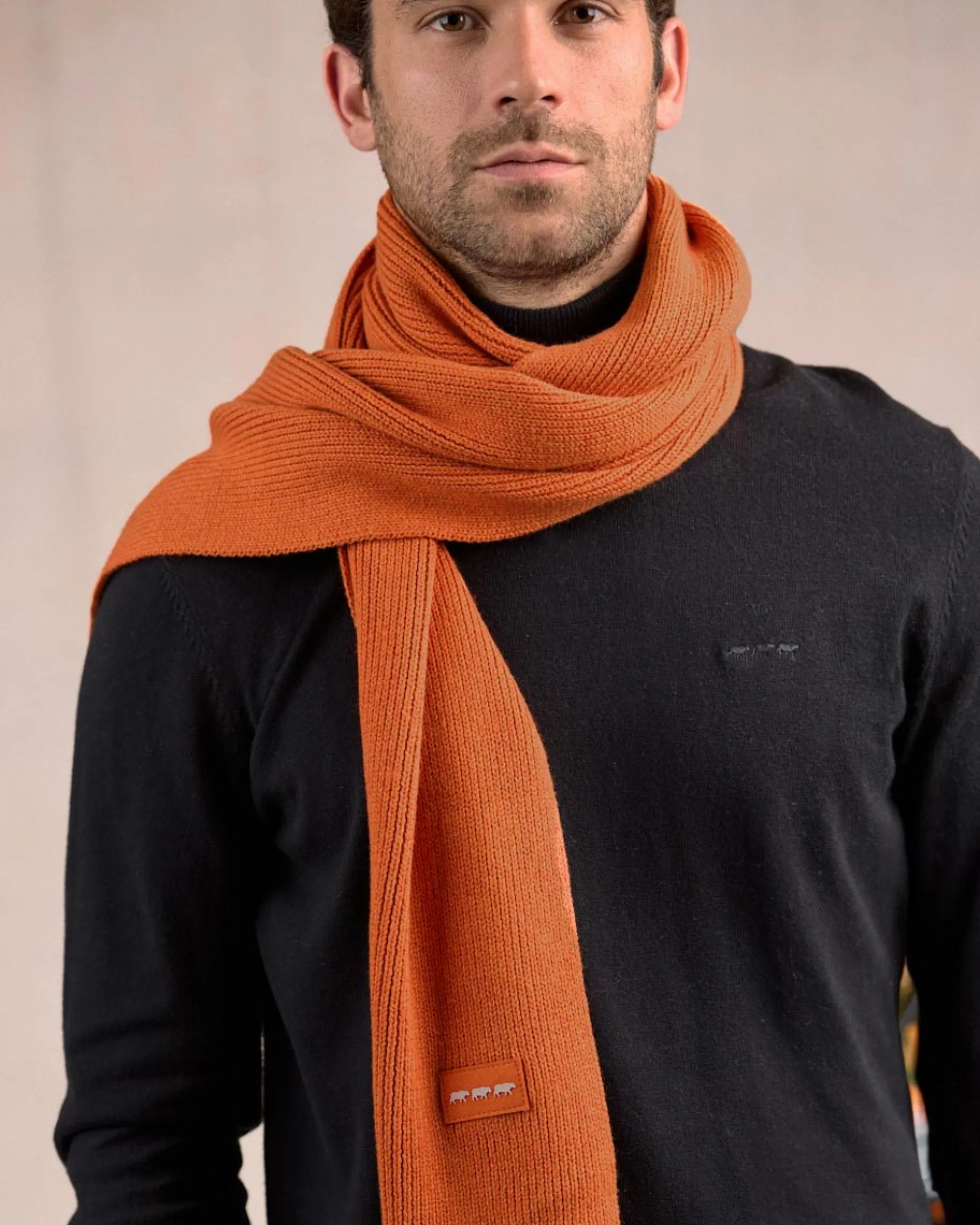 Homme Mise Au Green Écharpe unie en tricot