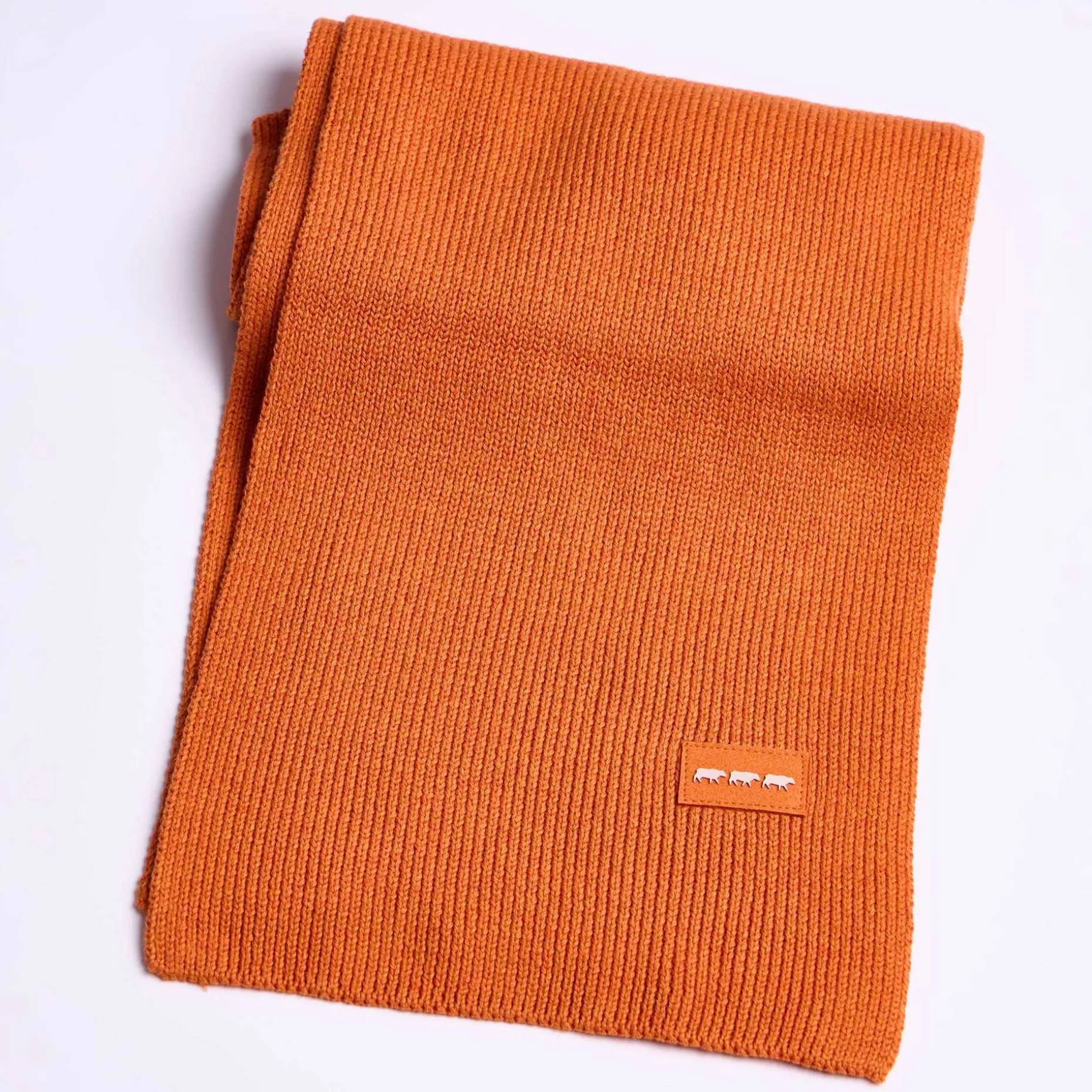 Homme Mise Au Green Écharpe unie en tricot