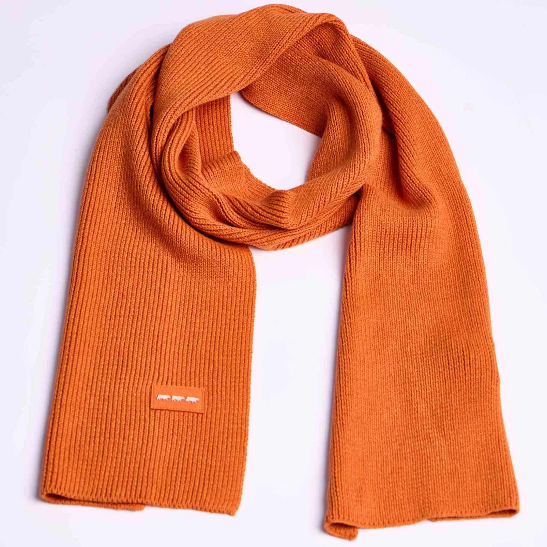 Homme Mise Au Green Écharpe unie en tricot