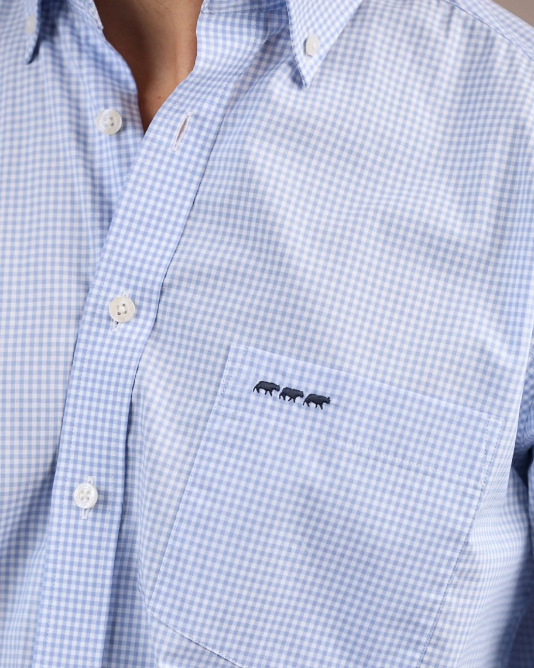 Homme Mise Au Green Chemise à carreaux vichy vichy ciel