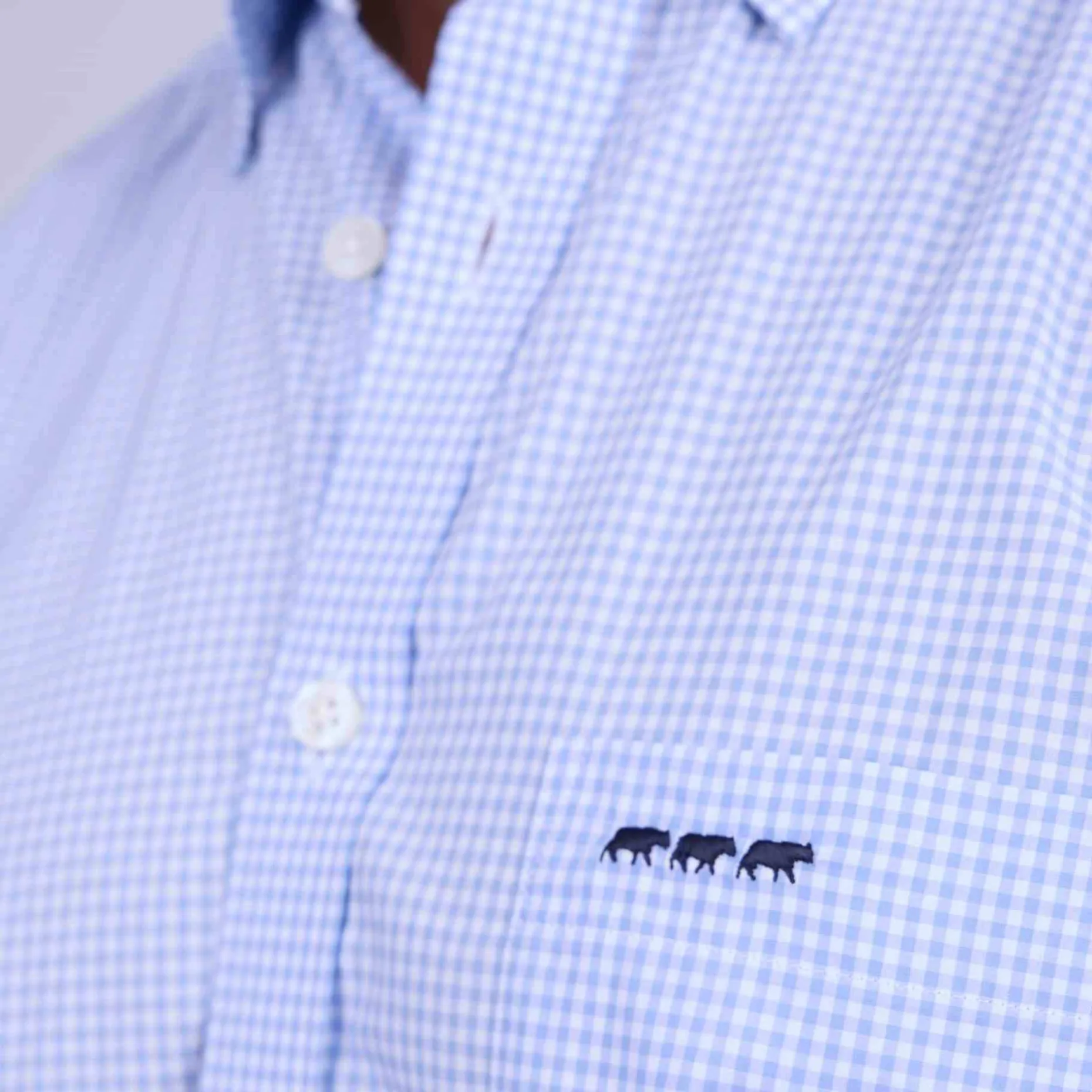 Homme Mise Au Green Chemise à carreaux vichy vichy ciel