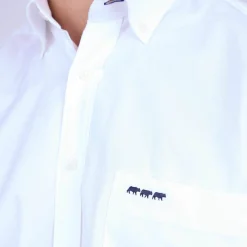 Homme Mise Au Green Chemise unie