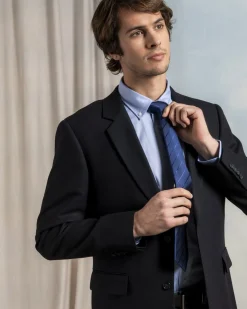 Homme Mise Au Green Cravate à rayures bleu marine