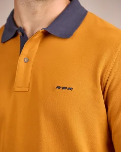 Homme Mise Au Green Polo au col contrastant