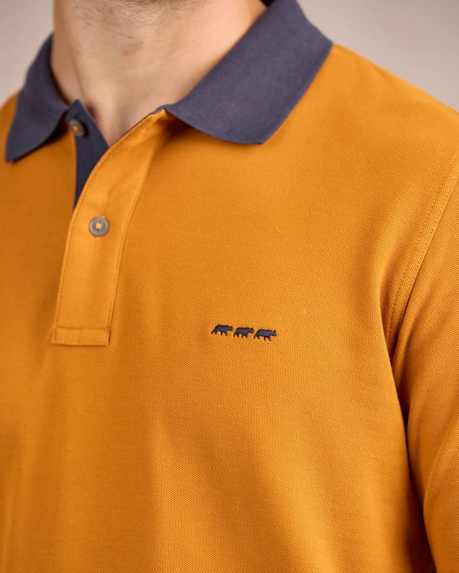 Homme Mise Au Green Polo au col contrastant