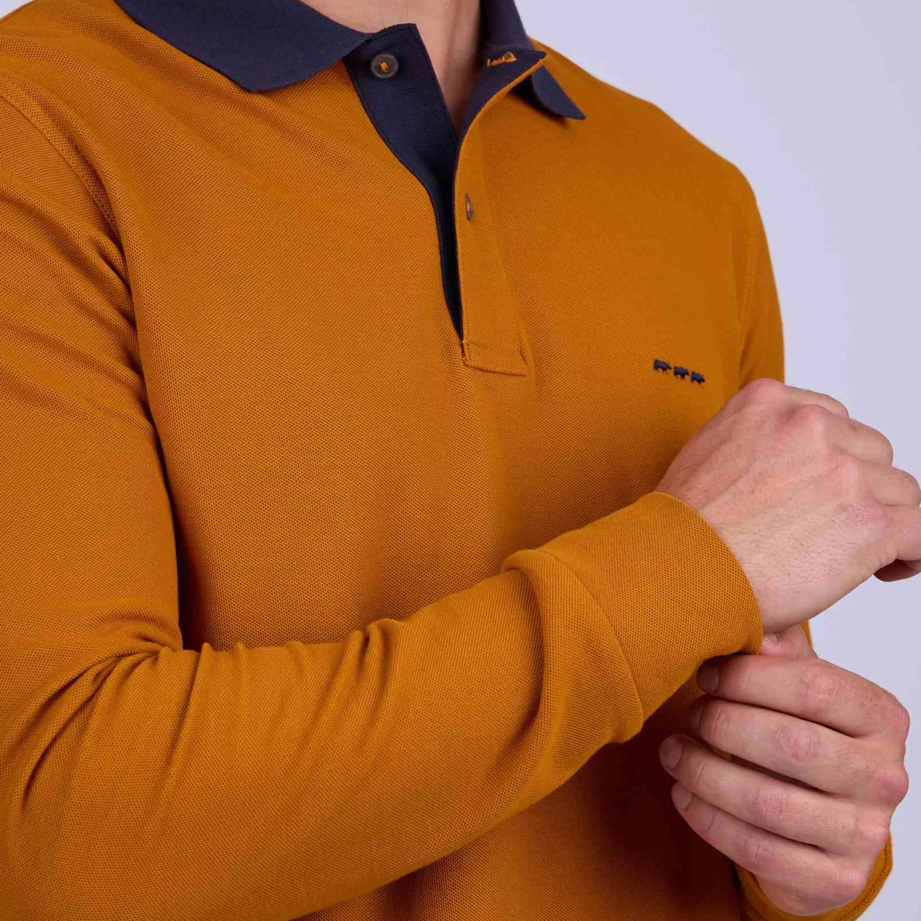 Homme Mise Au Green Polo au col contrastant