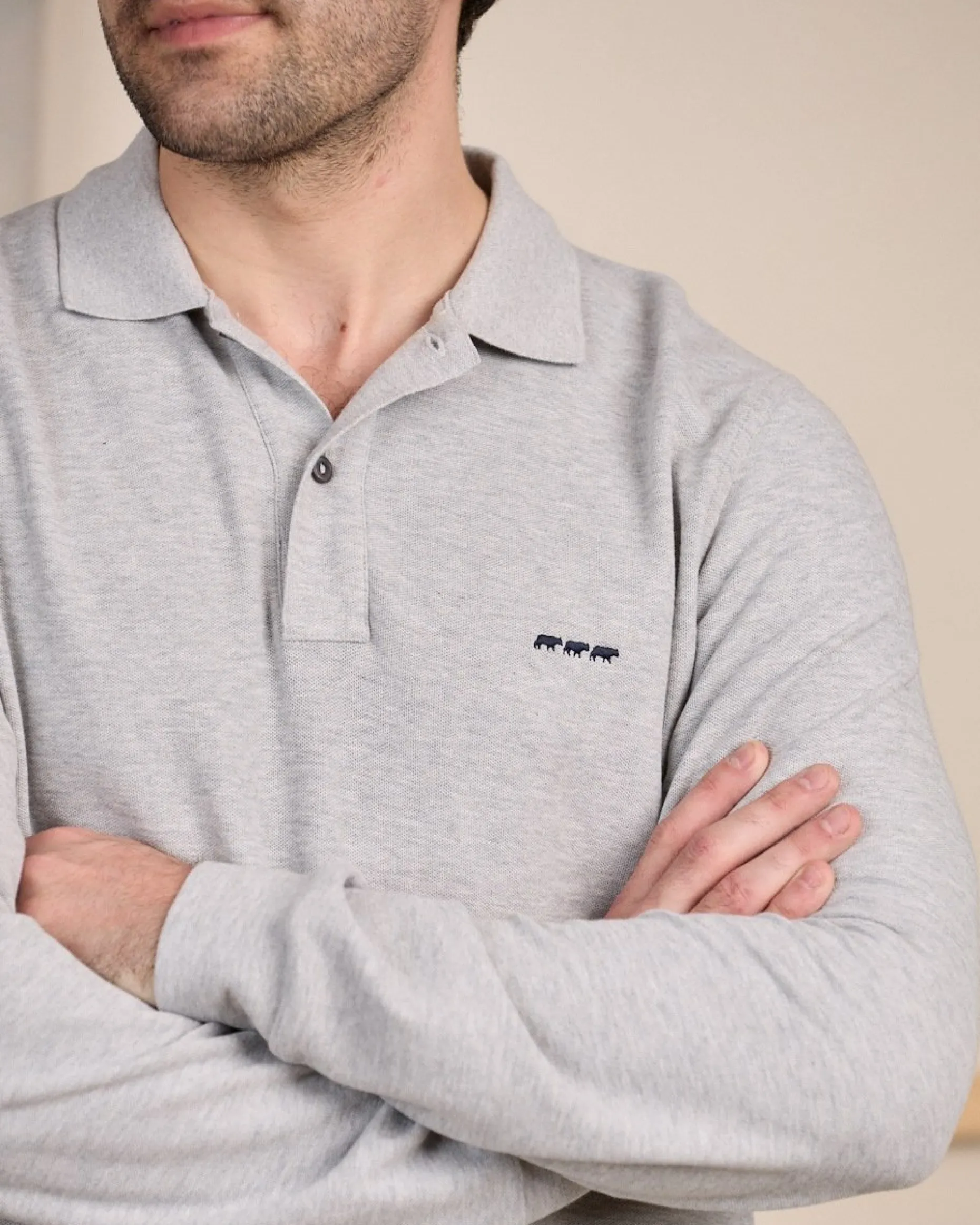 Homme Mise Au Green Polo Robin gris moyen