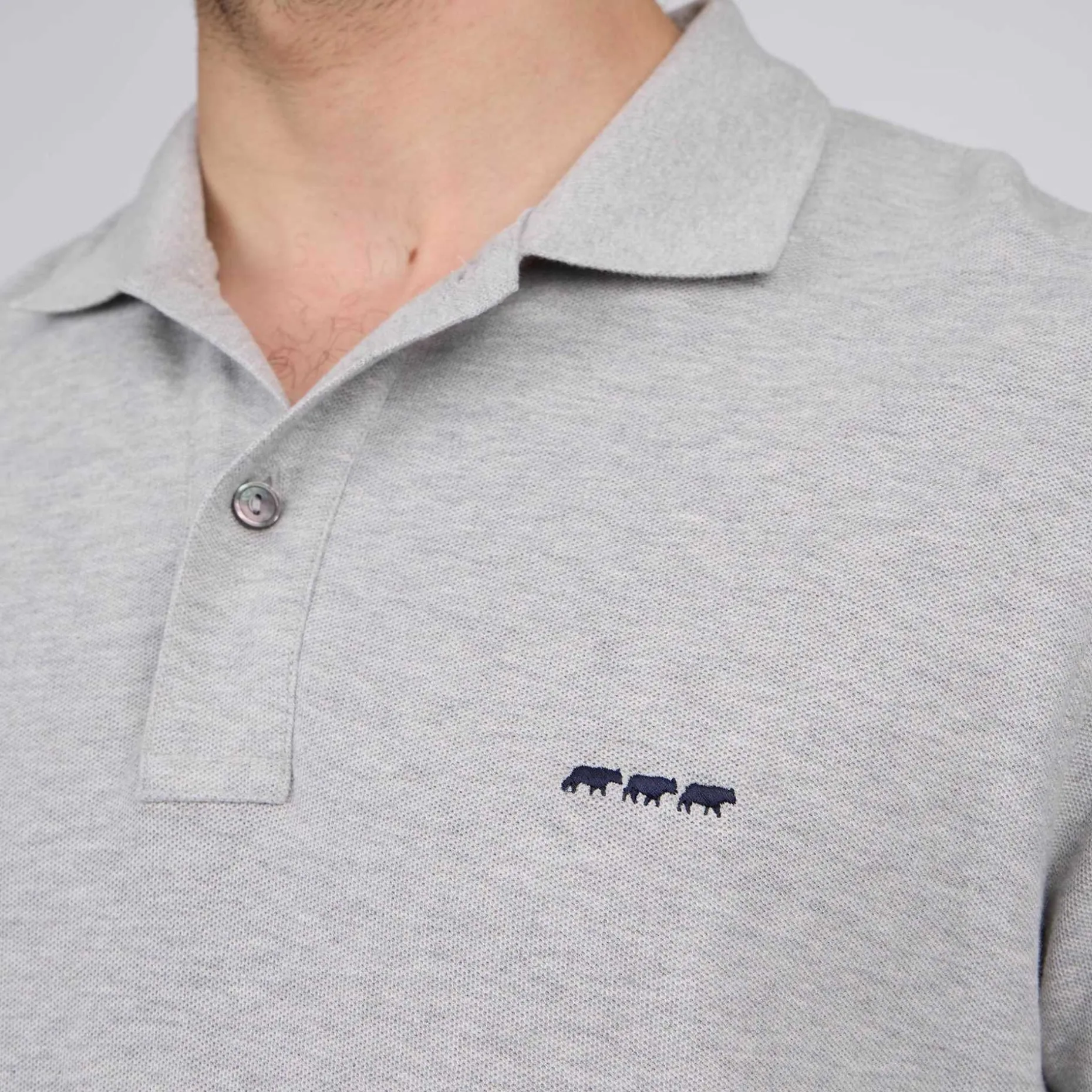 Homme Mise Au Green Polo Robin gris moyen