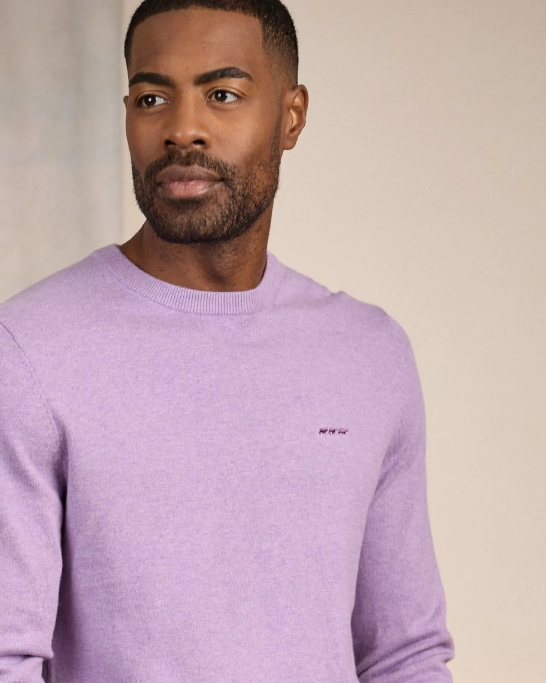 Homme Mise Au Green Pull Aaron