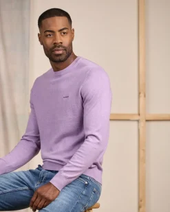 Homme Mise Au Green Pull Aaron