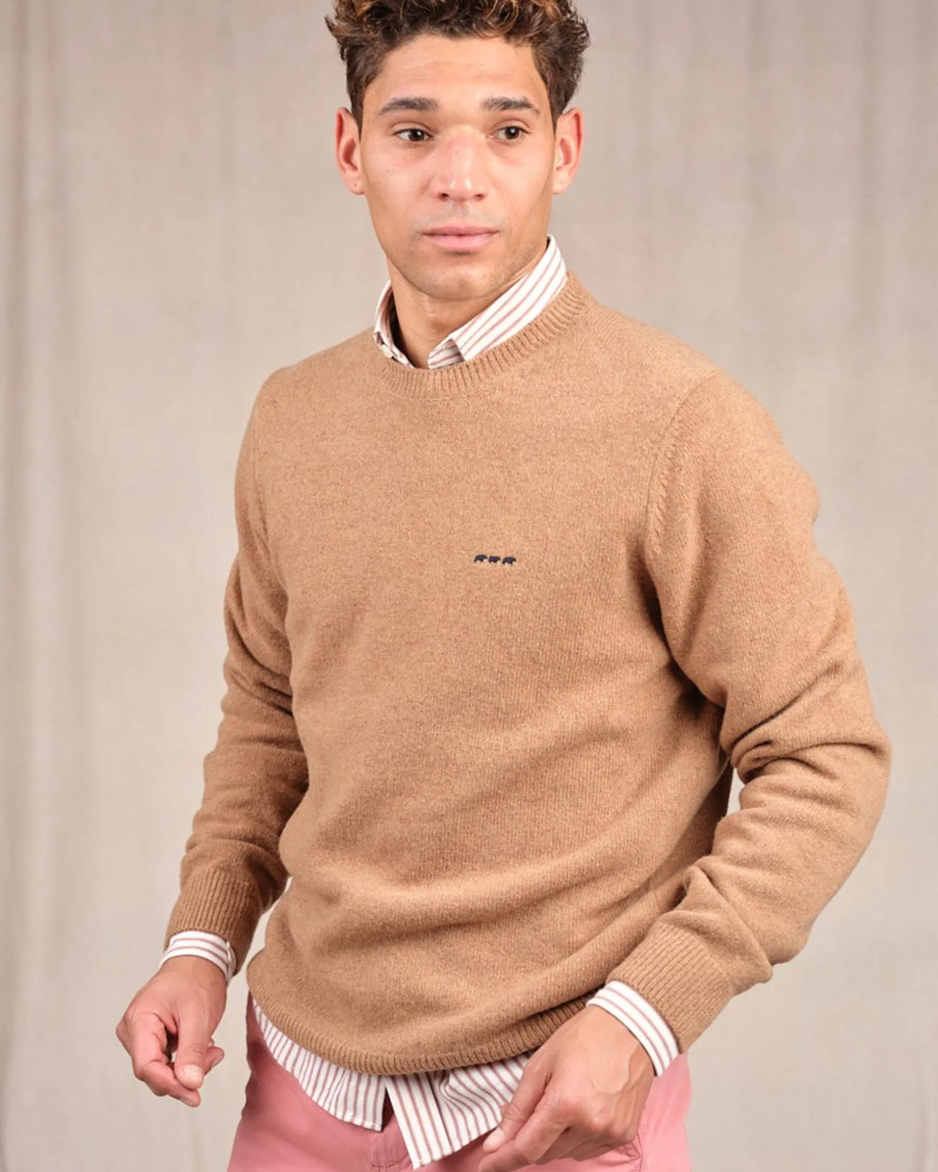 Homme Mise Au Green Pull Cassis