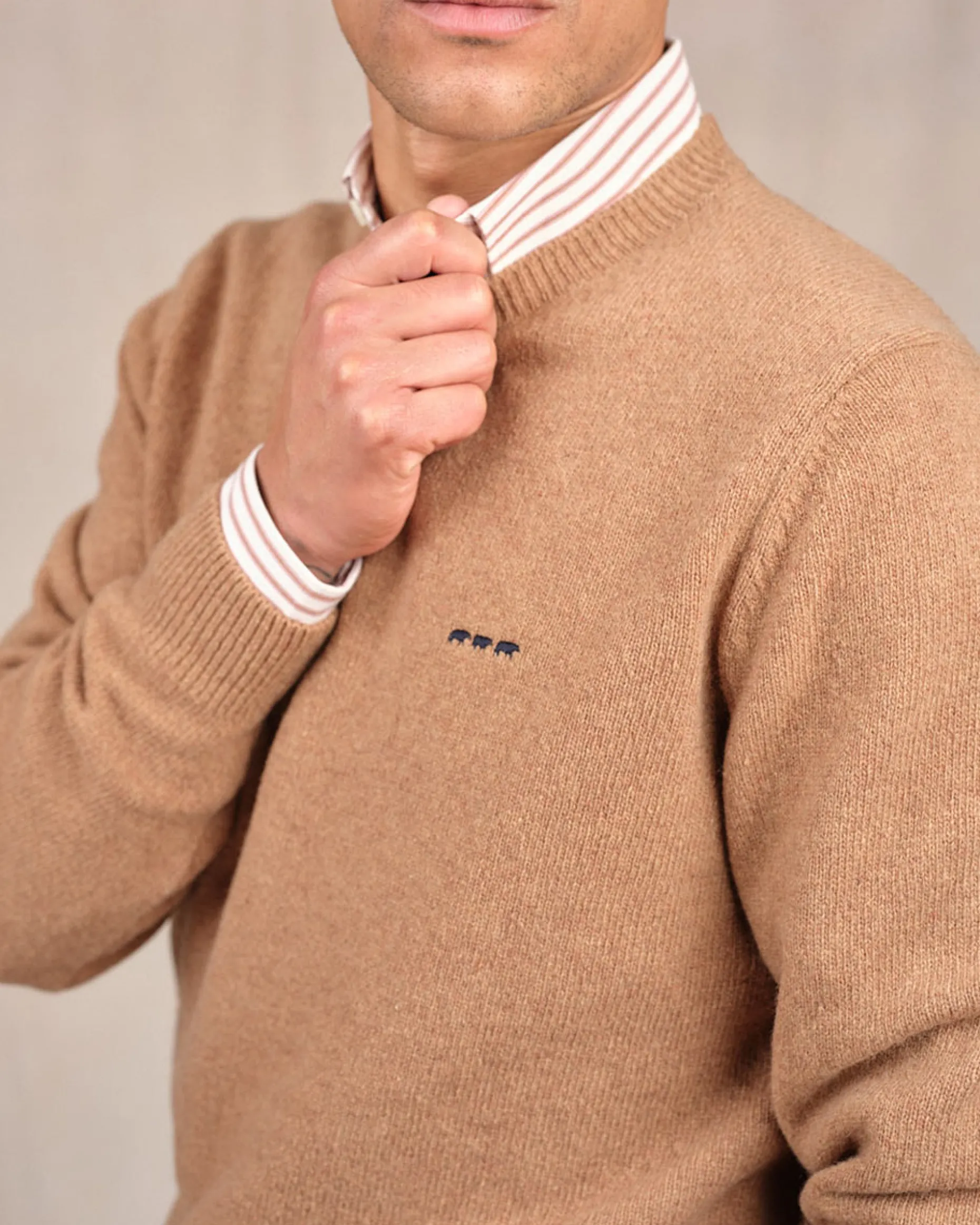 Homme Mise Au Green Pull Cassis