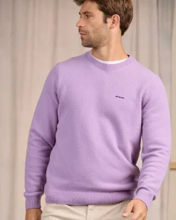 Homme Mise Au Green Pull Cassis