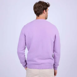 Homme Mise Au Green Pull Cassis