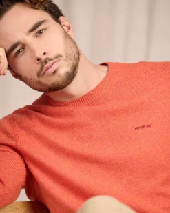 Homme Mise Au Green Pull Cassis